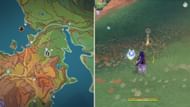 Wrath of the Earth photo-taking spot (Image via HoYoverse)